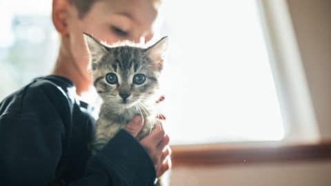 Boy hugging male kitten
