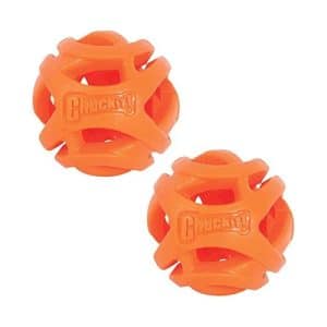 chuckit! air fetch balls for french bulldogs