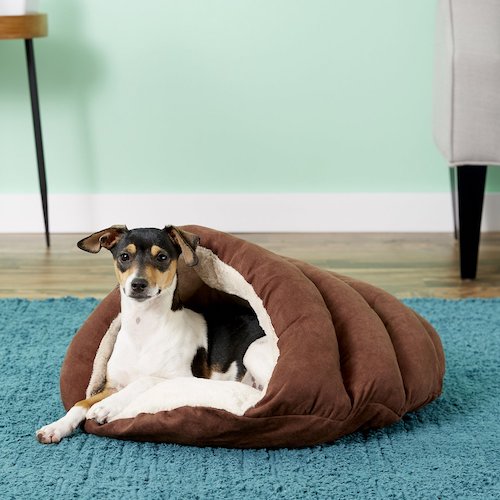 Dog sitting in brown cave dog bed