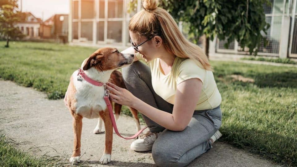Young adult woman playing with dog in animal shelter