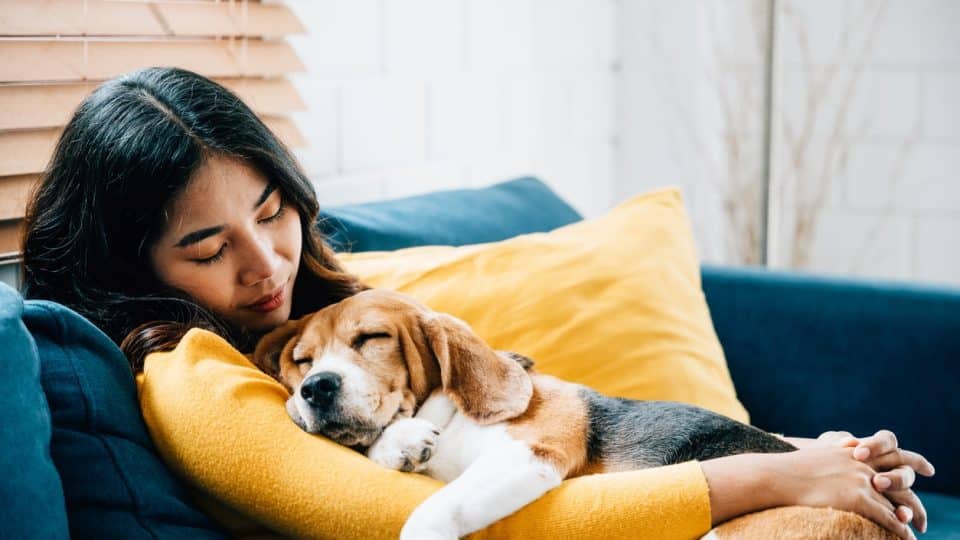 Pet parent calming their dog down with cuddles