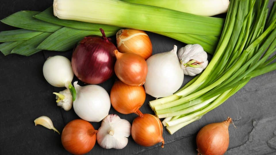 Onion, chives, garlic, leeks, and shallots on table