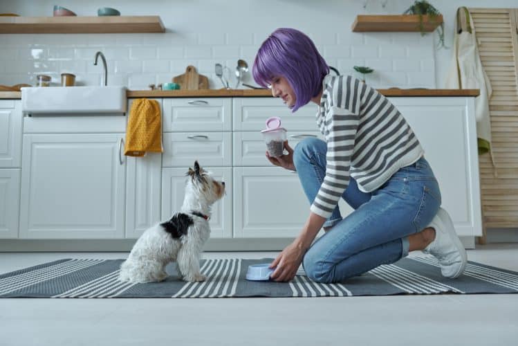 Une personne donnant à manger à son chien dans une cuisine