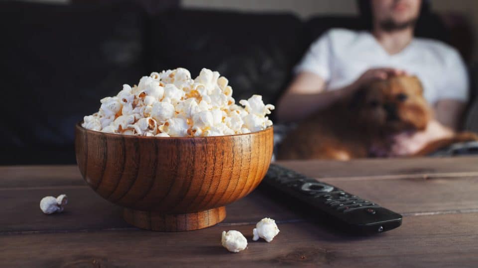 Dog sitting on person's lap looks at bowl of popcorn