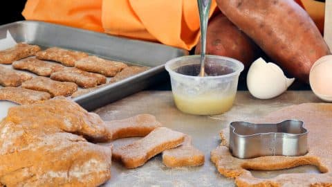 Making sweet potato treats for dogs