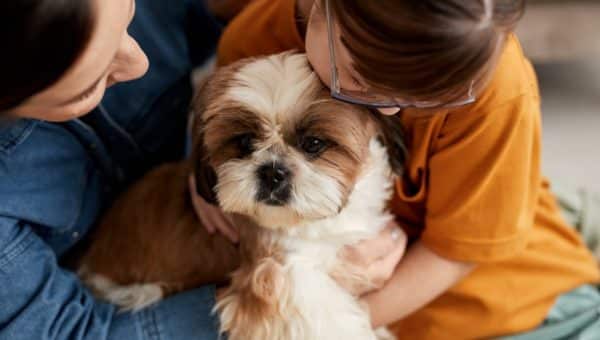 Pet parents cuddling with their neurodivergent dogs