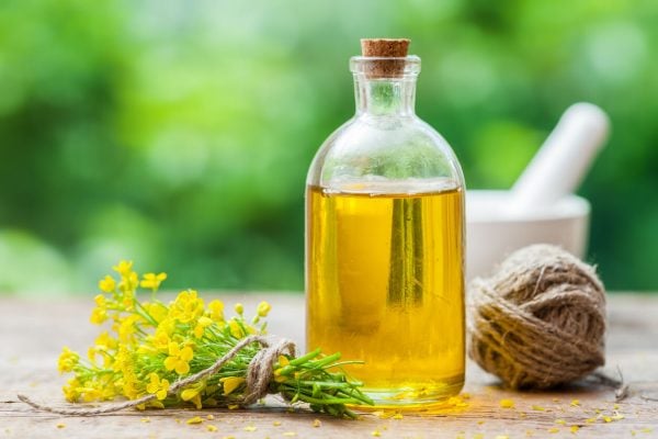 Bottle of canola oil next to canola plant