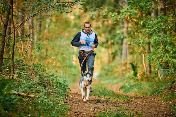 Man doing canicross with dog in woods