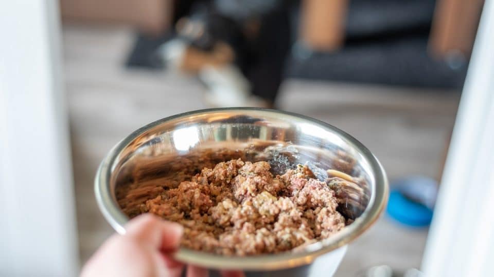 Canned food for dogs in metal bowl, dog in background