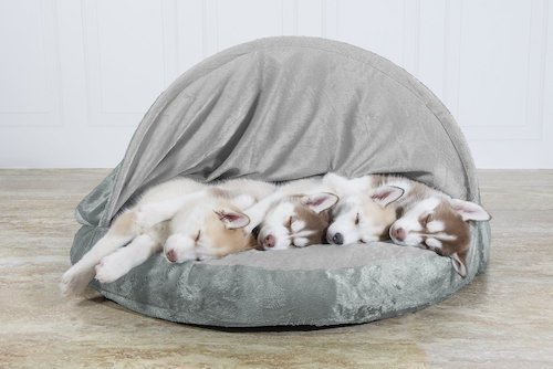 Four husky puppies sleeping in a grey canopy dog bed