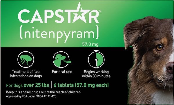 Capstar flea treatment for dogs