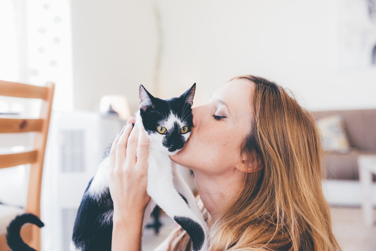 Why Cats Love Getting Their Cheeks Scratched and Rubbed?