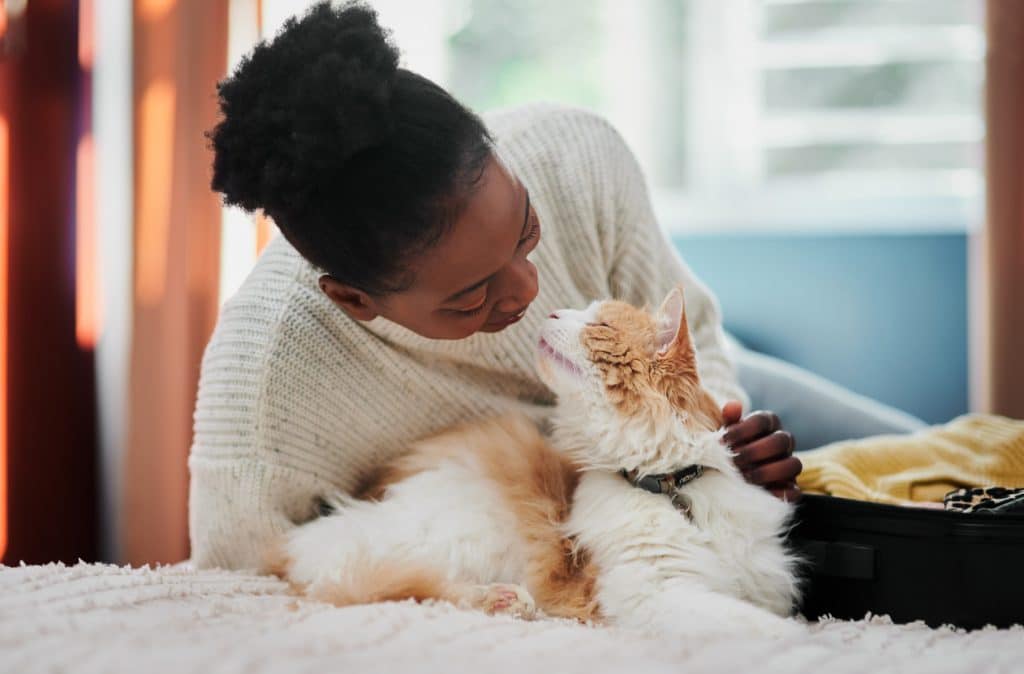 Aufnahme einer schönen jungen Frau, die zu Hause mit ihrer Katze kuschelt
