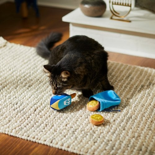 Cat playing with dreidel and coin toys