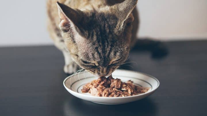 theSkimm - Your go-to for the info and tools you need to live your ...