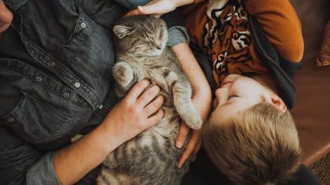 Cat happily laying in their family's lap