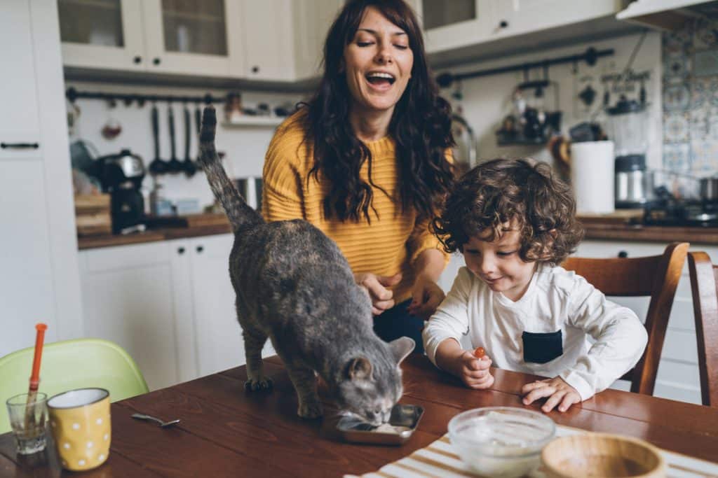 Young woman and little boy feeding their cat at the table at home