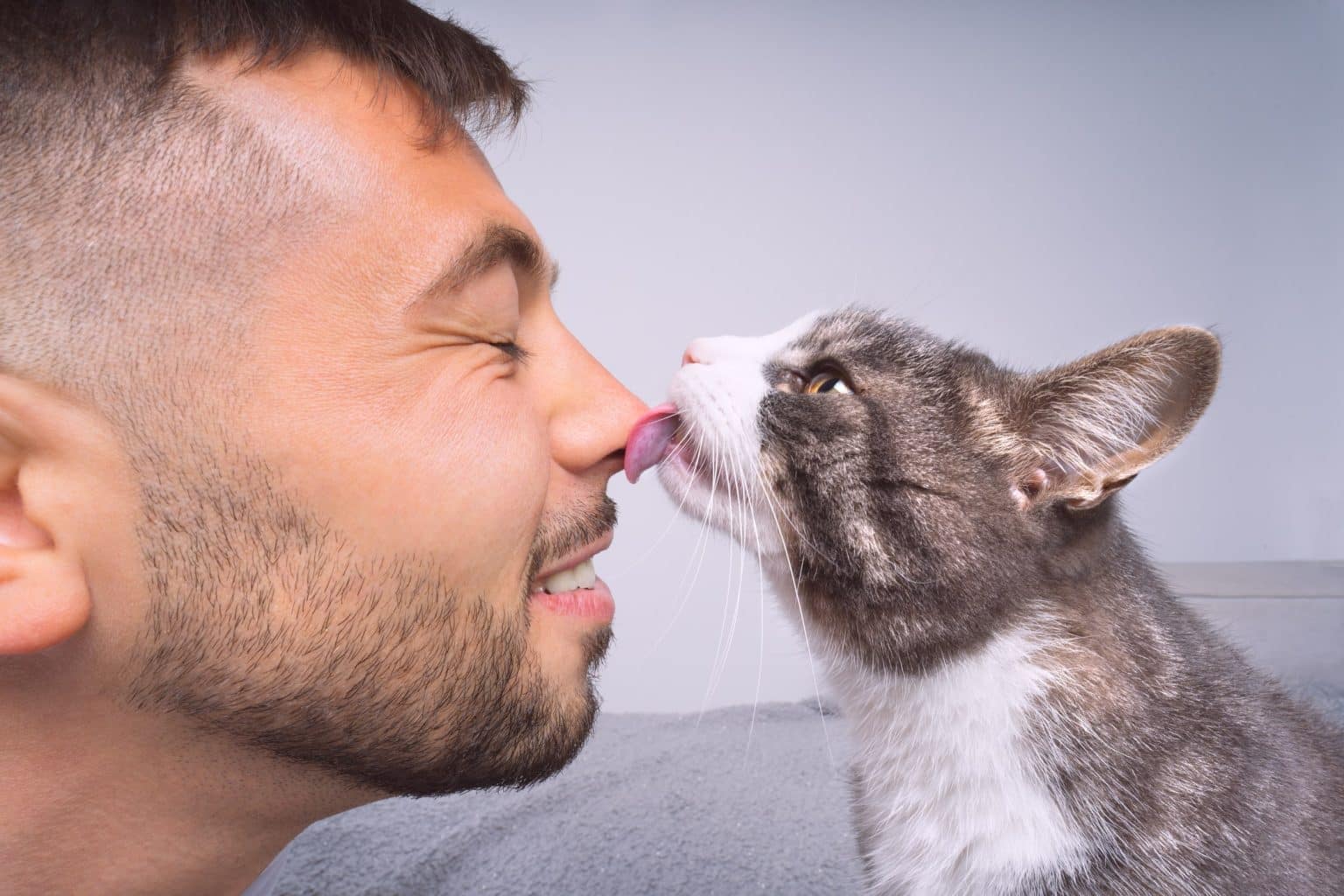 Why Does My Cat Lick Me? 8 Reasons Your Cat Loves To Lick You