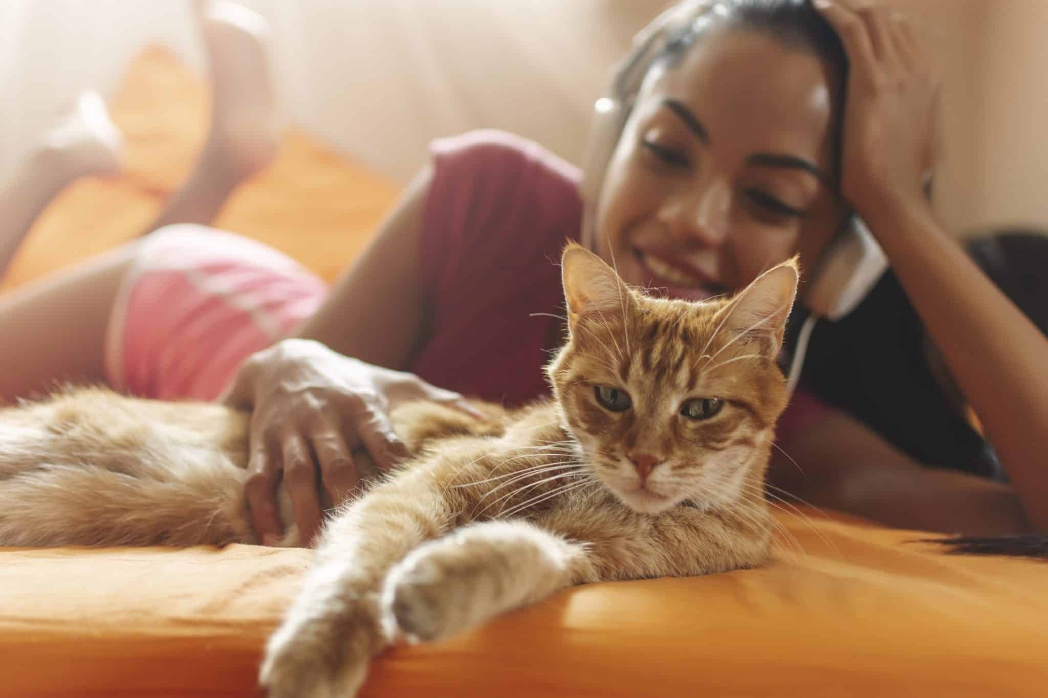 Do Cats Like Music? A Guide to The Feline Audiophile