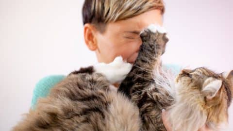 A cat playfully scratching their pet parent's face
