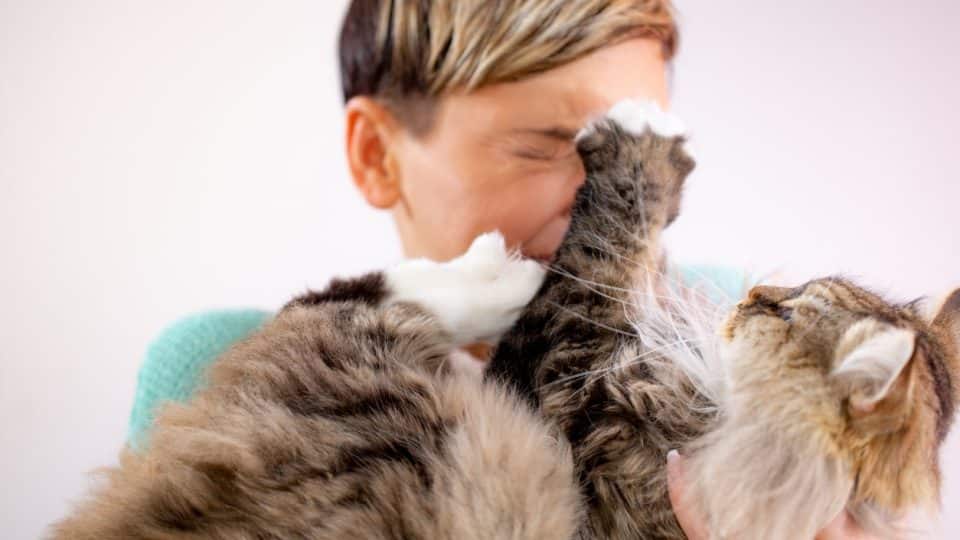 A cat playfully scratching their pet parent's face