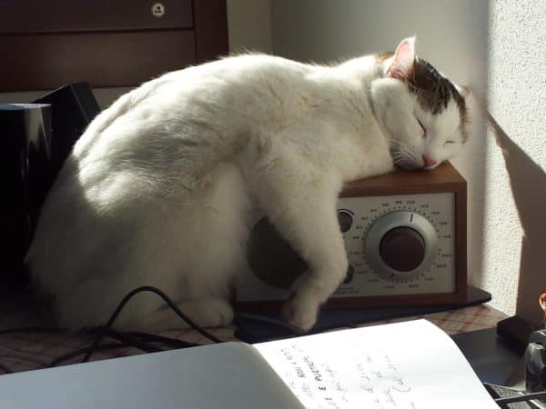 Cat sleeping on top of radio