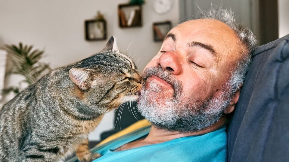 Cat licking person's beard