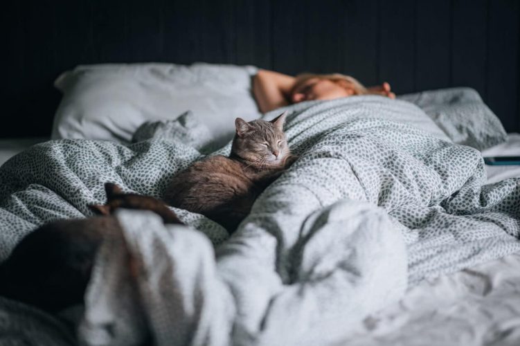 Two cats sleeping in bed with person