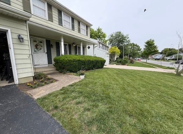 Green front yard