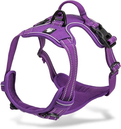 chai's choice harness