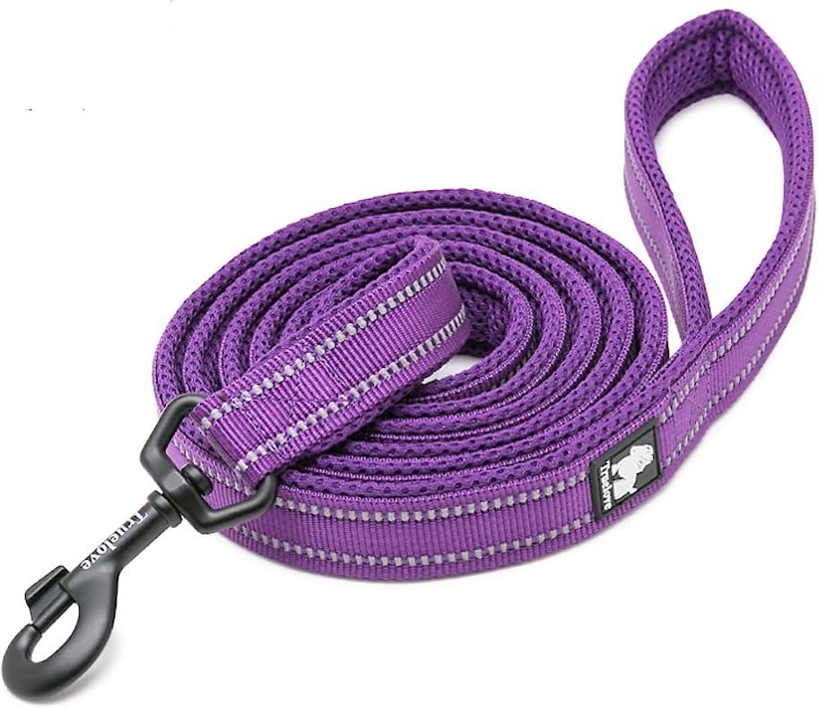 purple reflective dog and cat leash