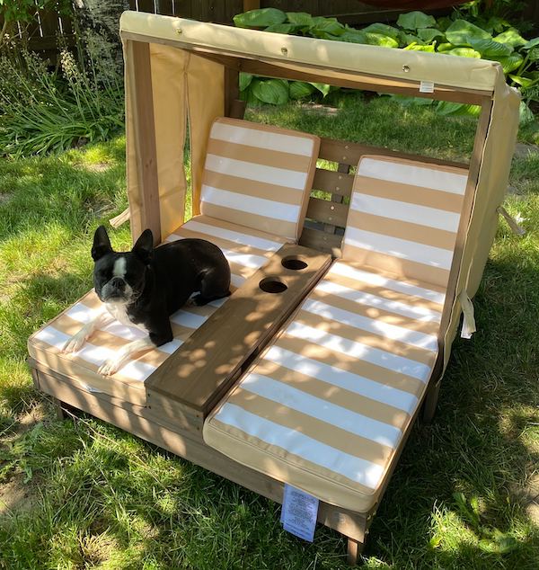 Dog sits on miniature double chaise lounge