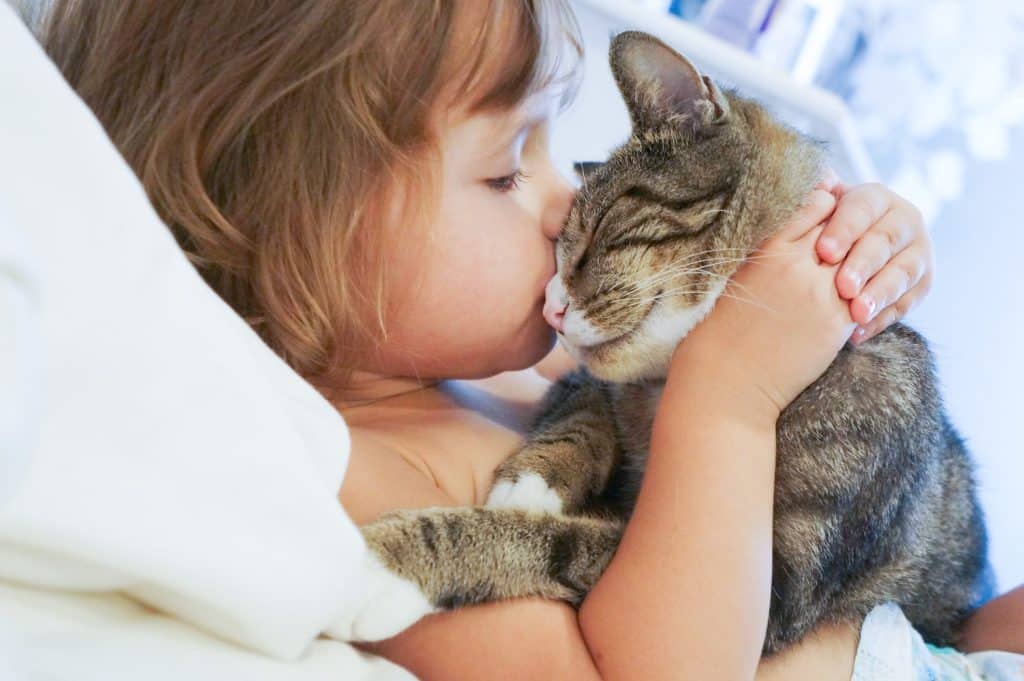 A child lovingly kissing her cat