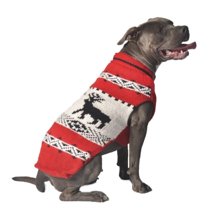 Chilly Dog reindeer sweater