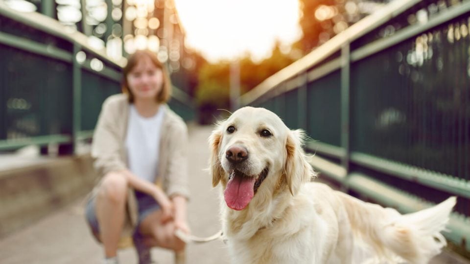 Person with happy dog outside