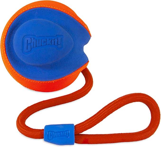 Chuckit! rope dog toy with ball
