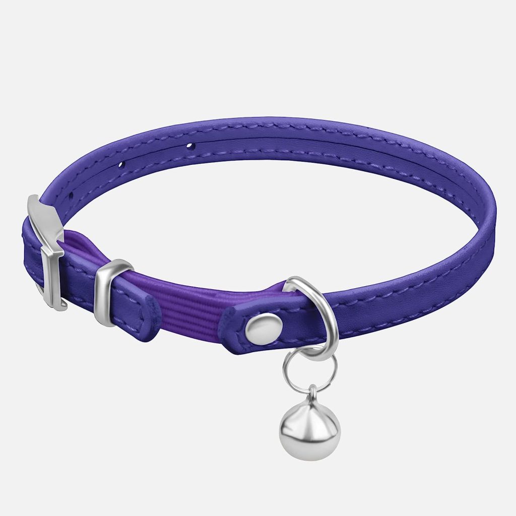 The 9 Best Kitten Collars for New Cats