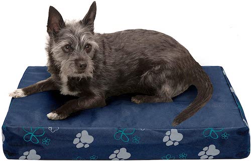 Small dog sits on blue cooling bed with paw-print pattern