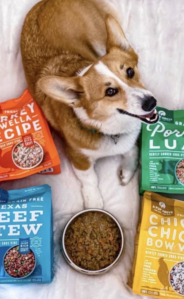 The 11 Best HighPalatability Dog Foods for Picky Eaters