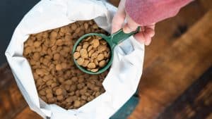Hand removing a green measuring cup full of dog or cat food kibble from a white bag full of round pieces of food.