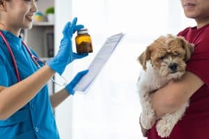 Vet holds up medication for sick dog