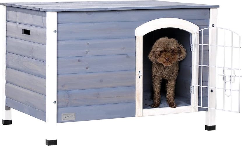 Poodle stands in door of the Petsfit Indoor Wooden Dog House