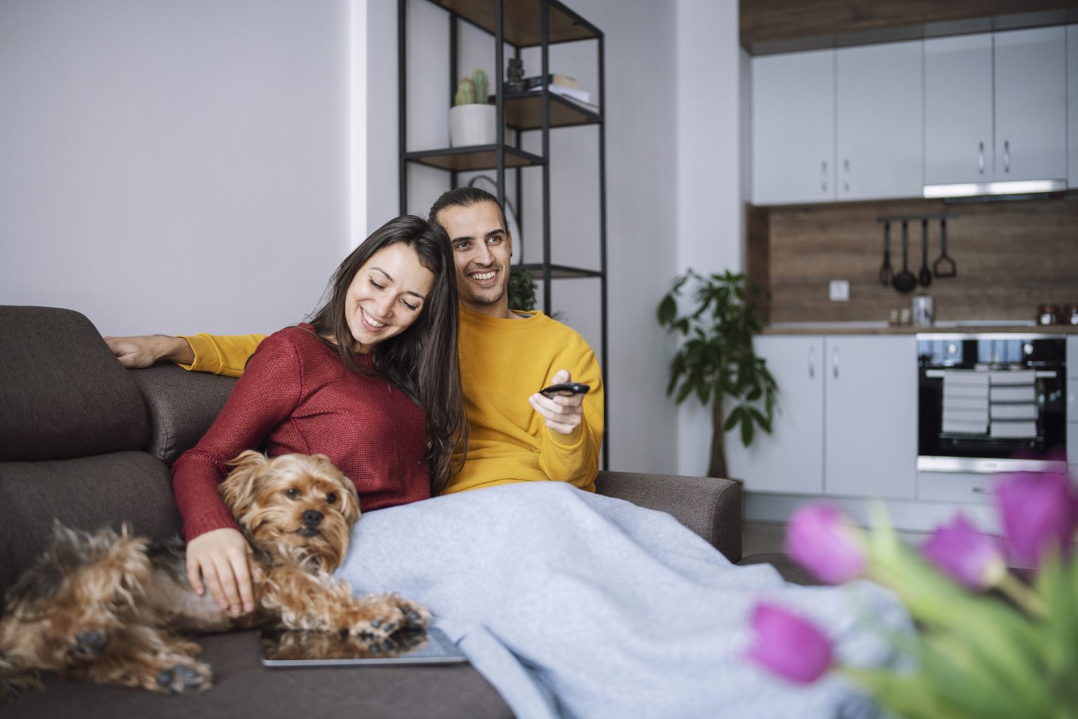 Why Does My Dog Bark At The TV? The Dog People by