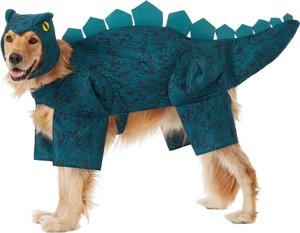 Frisco Stegosaurus Dinosaur Dog Costume