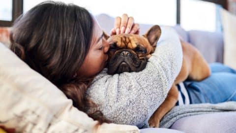 Person lying down cuddling dog