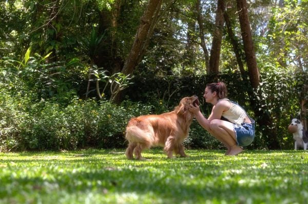 Happy person and dog playing outside in grass