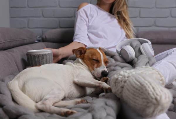 Dog and person cuddling while listening to music