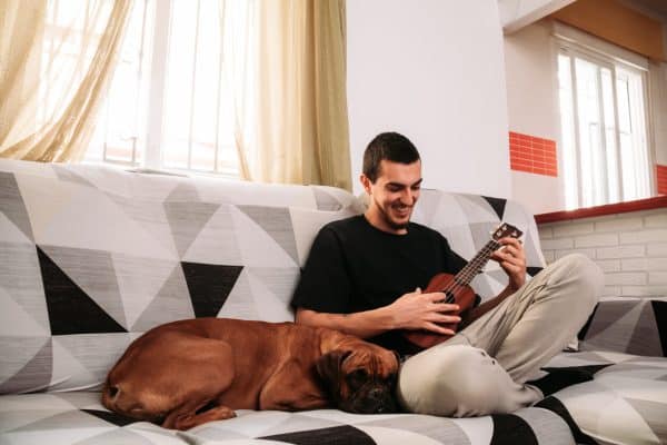 Relaxed dog listening to young man play ukulele on sofa