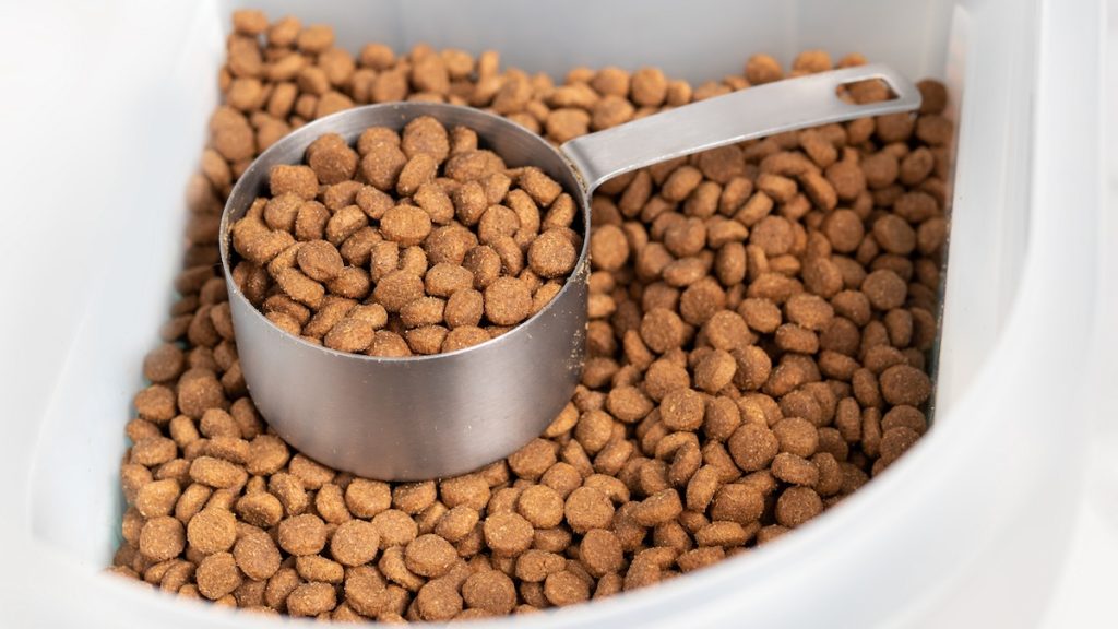 Does Dog Food Expire? Signs To Look For