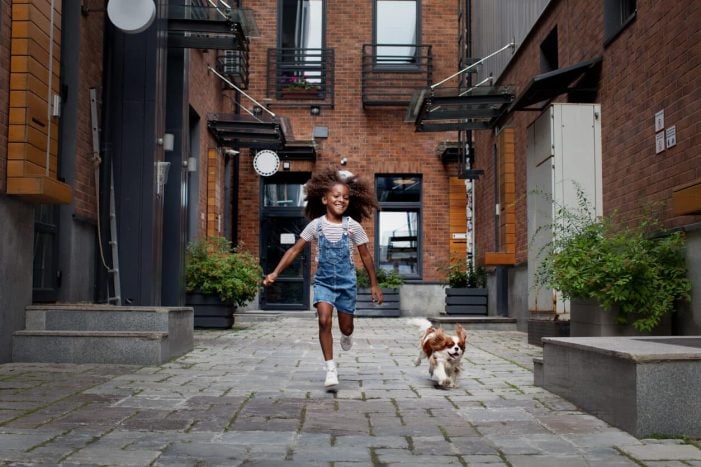 Child and dog playing in street